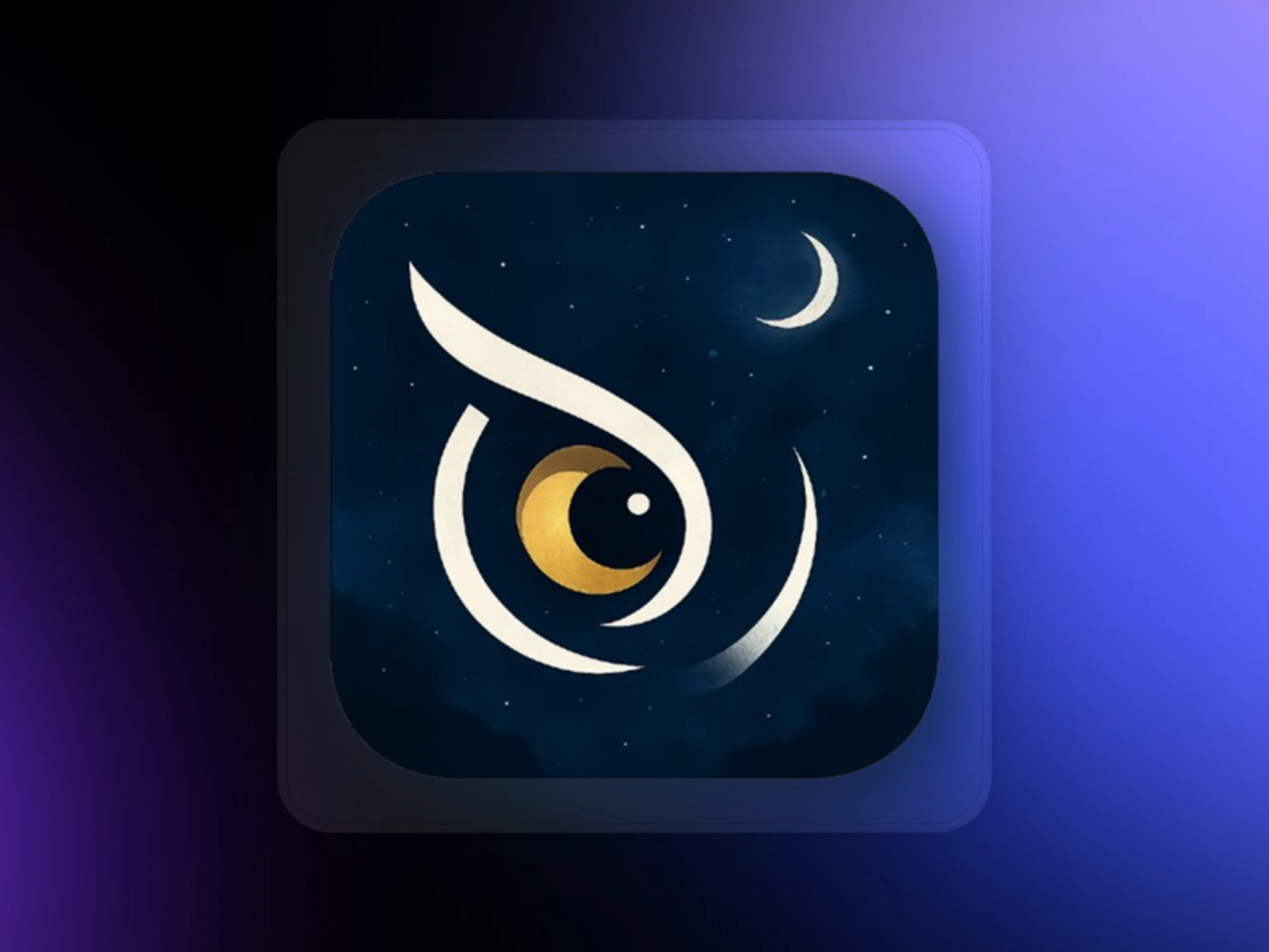 Captura de pantalla del proyecto NOCturnal